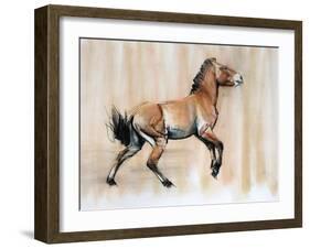 Young Stallion (Przewalski), 2014-Mark Adlington-Framed Giclee Print