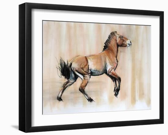 Young Stallion (Przewalski), 2014-Mark Adlington-Framed Giclee Print