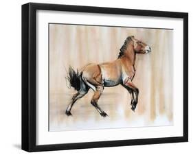 Young Stallion (Przewalski), 2014-Mark Adlington-Framed Giclee Print