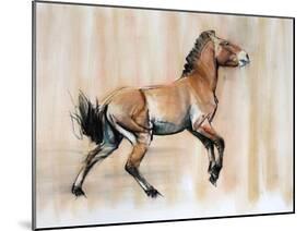 Young Stallion (Przewalski), 2014-Mark Adlington-Mounted Giclee Print