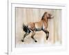 Young Stallion (Przewalski), 2014-Mark Adlington-Framed Giclee Print