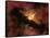 Young Star Surrounded by a Dusty Protoplanetary Disk-Stocktrek Images-Framed Stretched Canvas