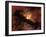 Young Star Surrounded by a Dusty Protoplanetary Disk-Stocktrek Images-Framed Premium Photographic Print