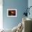 Young Star Surrounded by a Dusty Protoplanetary Disk-Stocktrek Images-Framed Photographic Print displayed on a wall