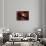 Young Star Surrounded by a Dusty Protoplanetary Disk-Stocktrek Images-Mounted Photographic Print displayed on a wall