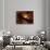 Young Star Surrounded by a Dusty Protoplanetary Disk-Stocktrek Images-Photographic Print displayed on a wall