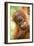 Young Sumatran Orangutan-Tony Camacho-Framed Photographic Print