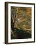 Young Trees in the Forest, 1866 by Renoir-Pierre Auguste Renoir-Framed Giclee Print