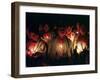 Young Tzolzil Indians from the Displaced Community of Xoyep-null-Framed Photographic Print