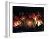 Young Tzolzil Indians from the Displaced Community of Xoyep-null-Framed Photographic Print