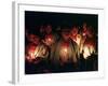 Young Tzolzil Indians from the Displaced Community of Xoyep-null-Framed Photographic Print