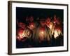 Young Tzolzil Indians from the Displaced Community of Xoyep-null-Framed Photographic Print