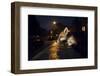 Young Urban Red Fox (Vulpes Vulpes). Bristol, UK. August-Sam Hobson-Framed Photographic Print