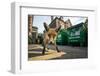 Young Urban Red Fox (Vulpes Vulpes) Standing In Front Of Bristol City Council Dustbins-Sam Hobson-Framed Photographic Print