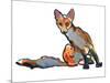 Young Vixen Grooming, 2021, (mixed media)-Mark Adlington-Mounted Premium Giclee Print