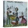 Young Walnuts!, Cries of London, C1840-TH Jones-Stretched Canvas