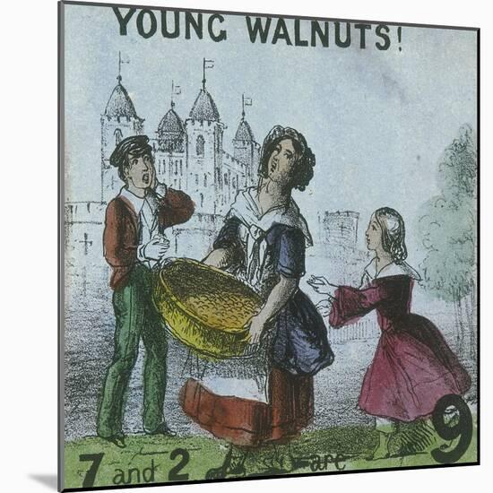 Young Walnuts!, Cries of London, C1840-TH Jones-Mounted Giclee Print