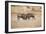 Young Warthogs Sparring-Michele Westmorland-Framed Photographic Print