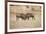 Young Warthogs Sparring-Michele Westmorland-Framed Photographic Print