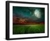 Young Wheat Field At Night With The Moonlight-Krivosheev Vitaly-Framed Art Print