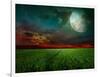 Young Wheat Field At Night With The Moonlight-Krivosheev Vitaly-Framed Art Print