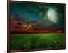 Young Wheat Field At Night With The Moonlight-Krivosheev Vitaly-Framed Art Print