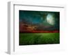 Young Wheat Field At Night With The Moonlight-Krivosheev Vitaly-Framed Art Print