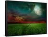 Young Wheat Field At Night With The Moonlight-Krivosheev Vitaly-Framed Stretched Canvas