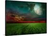 Young Wheat Field At Night With The Moonlight-Krivosheev Vitaly-Stretched Canvas