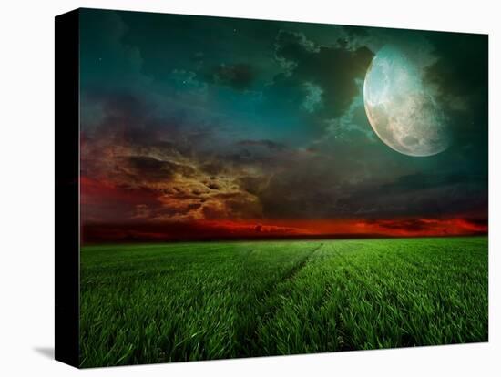 Young Wheat Field At Night With The Moonlight-Krivosheev Vitaly-Stretched Canvas