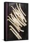 Young White Asparagus-Eising Studio - Food Photo and Video-Framed Stretched Canvas