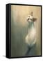 Young White Cat Looking Up,Digital Painting-Tithi Luadthong-Framed Stretched Canvas