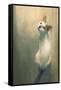 Young White Cat Looking Up,Digital Painting-Tithi Luadthong-Framed Stretched Canvas