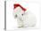 Young White Rabbit Wearing a Father Christmas Hat-Mark Taylor-Stretched Canvas