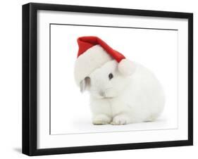 Young White Rabbit Wearing a Father Christmas Hat-Mark Taylor-Framed Photographic Print