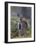 Young White-tailed deer alert, Finland-Jussi Murtosaari-Framed Photographic Print