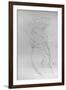 Young Woman, 1917-Gustav Klimt-Framed Giclee Print