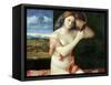 Young Woman at Her Toilette-Giovanni Bellini-Framed Stretched Canvas