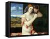 Young Woman at Her Toilette-Giovanni Bellini-Framed Stretched Canvas