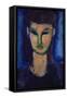 Young Woman, C1910-Amadeo Modigliani-Framed Stretched Canvas