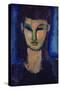 Young Woman, C1910-Amadeo Modigliani-Stretched Canvas