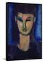 Young Woman, C1910-Amadeo Modigliani-Framed Stretched Canvas