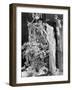 Young Woman Decorating a Christmas Tree-null-Framed Photo