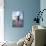 Young Woman Doing Yoga on Pier in Tahoe City, California-Justin Bailie-Photographic Print displayed on a wall