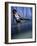 Young Woman Doing Yoga on the Floor-null-Framed Photographic Print