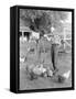 Young Woman Dressed as a Farmer Bringing Food to the Chicken-null-Framed Stretched Canvas