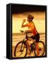 Young Woman Drinking Water Sitting on a Bicycle-null-Framed Stretched Canvas