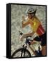 Young Woman Drinking Water While Sitting on a Bicycle-null-Framed Stretched Canvas