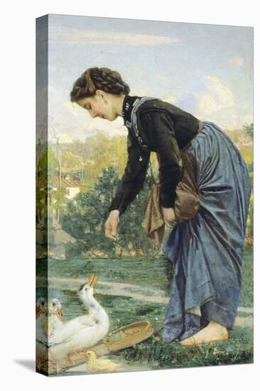 Young Woman Feeding a Duck, 1871-Cristiano Banti-Stretched Canvas