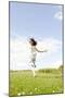 Young Woman, Fun, Meadow, Jumping-Axel Schmies-Mounted Photographic Print